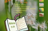 精品热视频免费下载，畅享精彩内容尽在99re8！