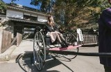 尽情享受日本美景与文化：gogogo观看日本的最佳攻略与推荐