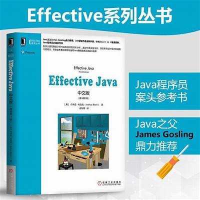 JaponensisJava中文版下载与使用指南：彻底解析与实操教程