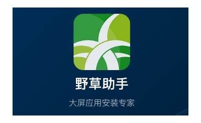 野草免费高清在线视频分享，畅享自然之美与无与伦比魅力