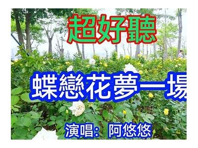 蝶恋直播：畅享精彩内容，与你互动不停歇