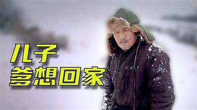 真实国产剧情视频分享：感受生活中的真实故事与情感