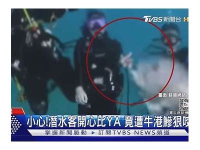 又粗又大又硬又水的免费视频资源