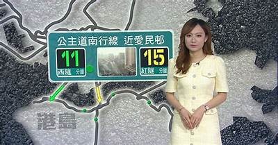 今日看料：最新资讯一览