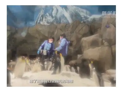 海角社区：探索我们美丽家园的点滴故事与活动