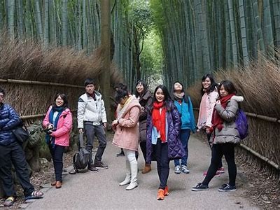 日本文化探索之旅：深入了解日本之道