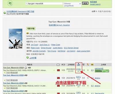 2019年最新中文电影字幕下载：高清资源分享与使用指南
